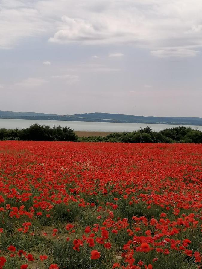 Aszofoi Panorama Apartmanhaz מראה חיצוני תמונה